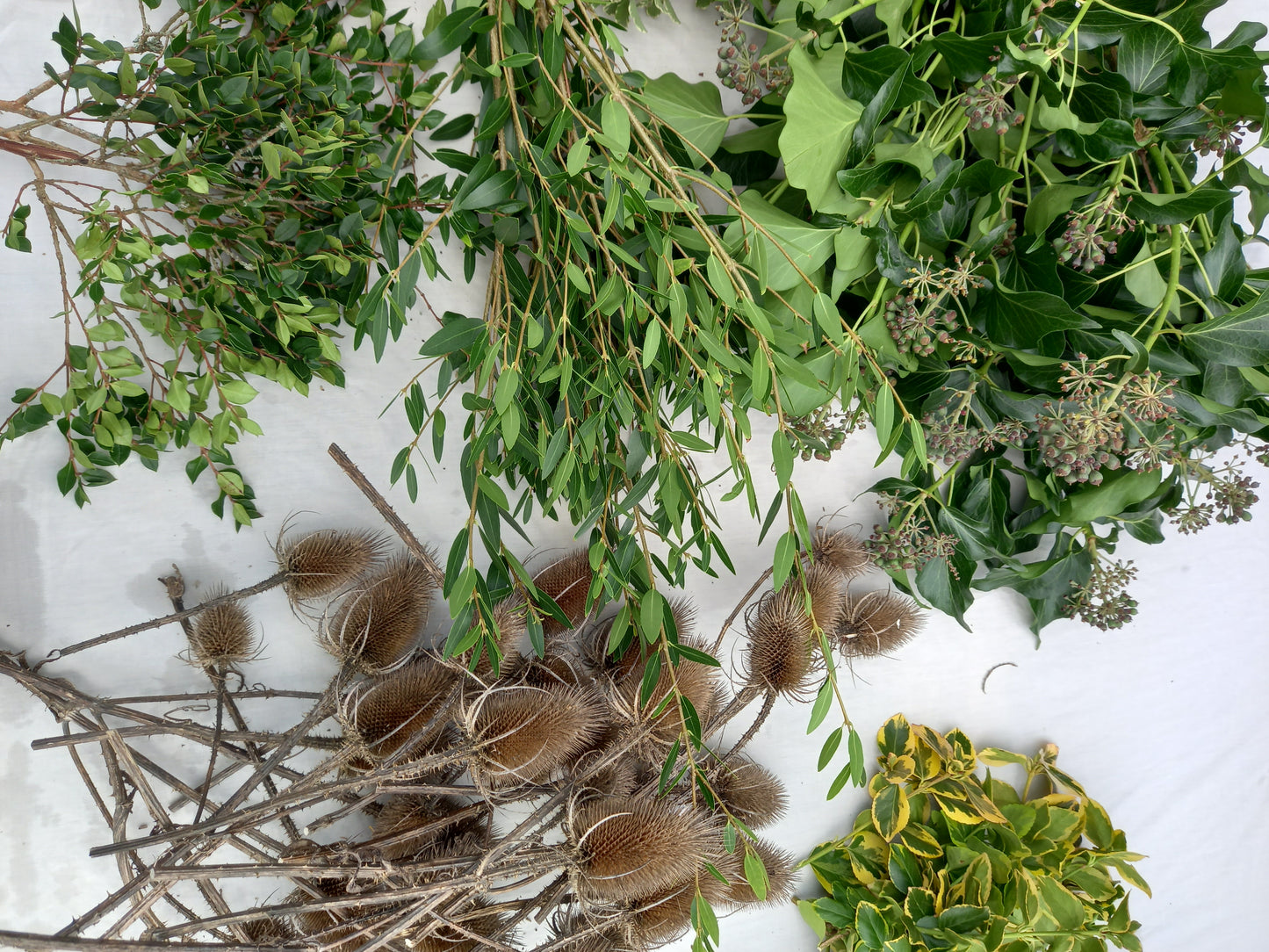 Christmas foliage, box full
