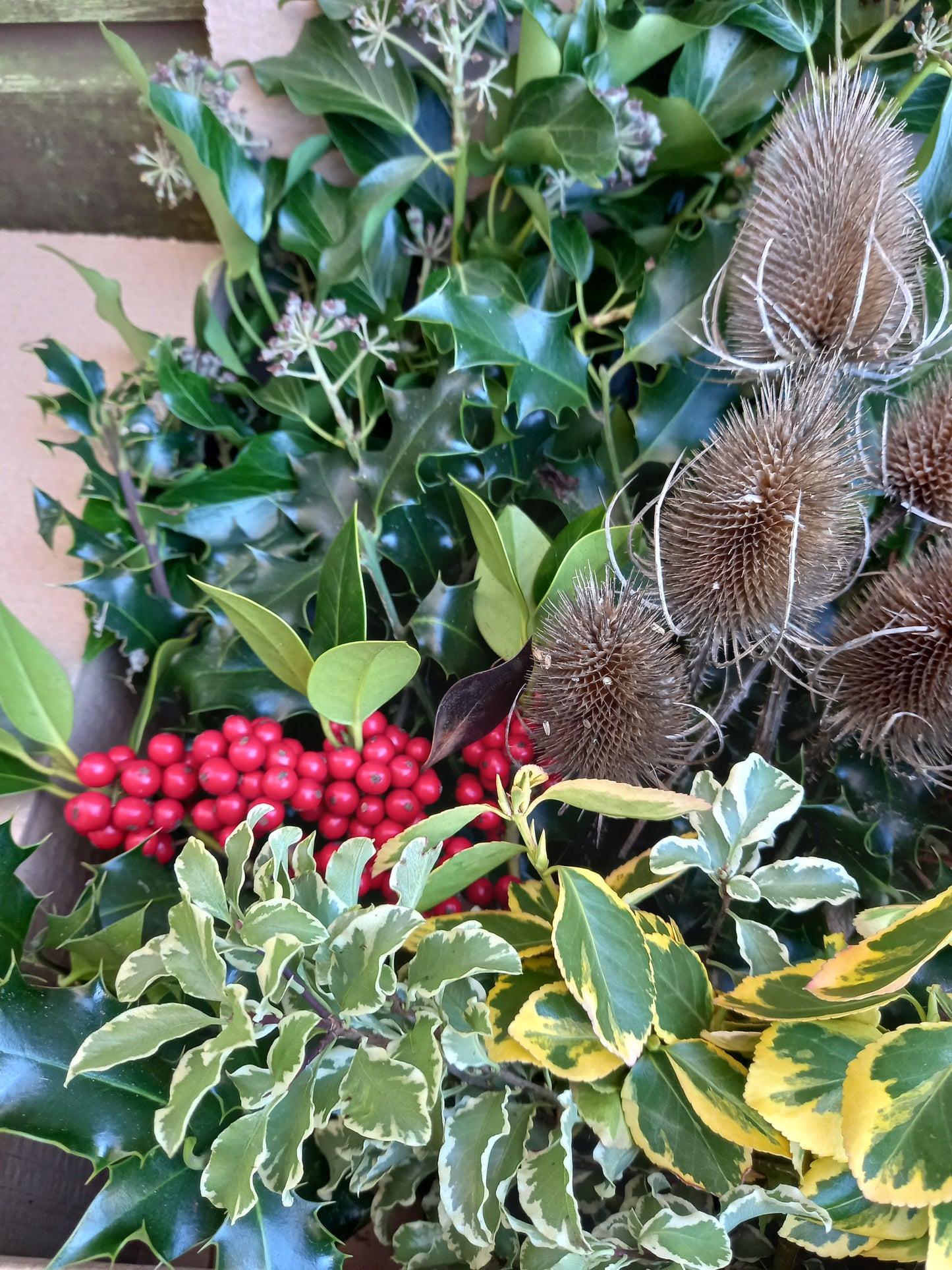 Christmas foliage, box full