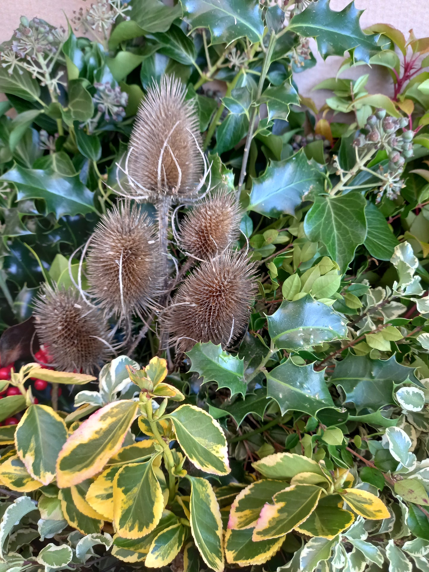 Christmas foliage, box full