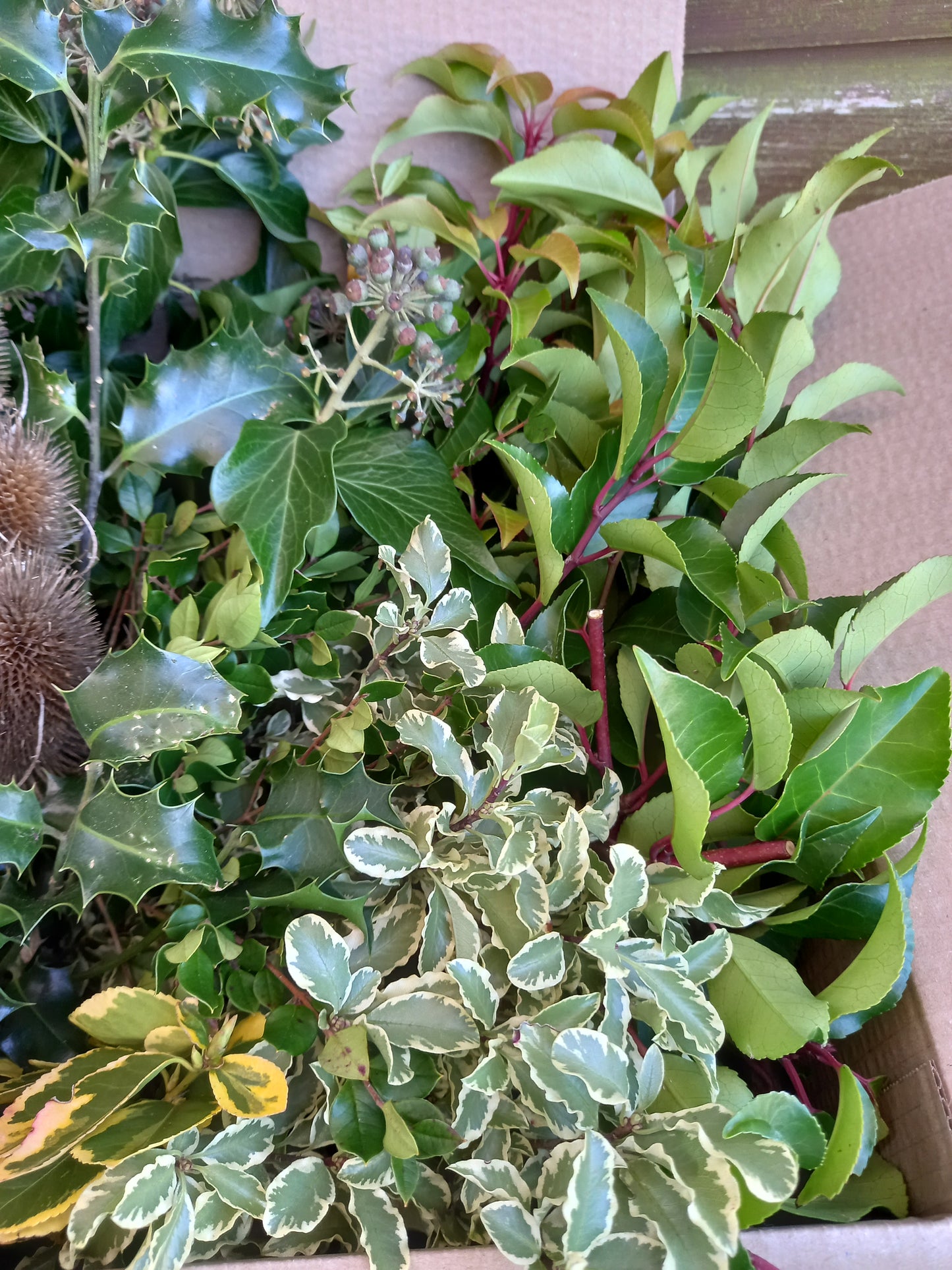Christmas foliage, box full
