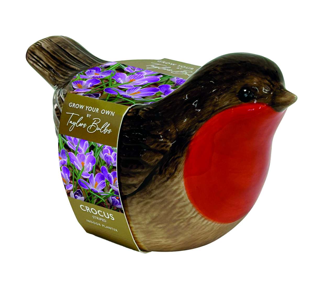 Taylors Robin Planter