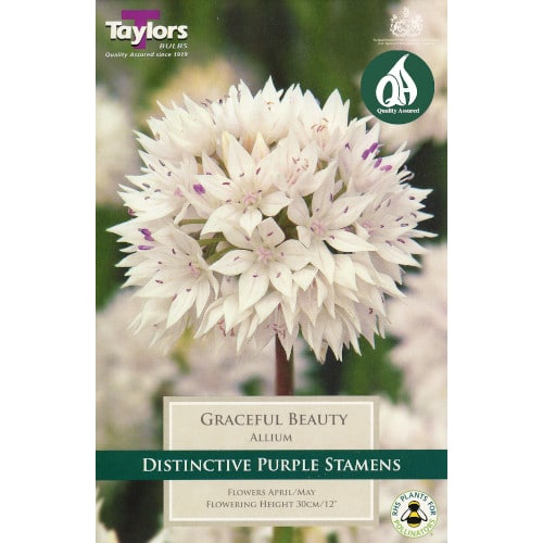 Taylors Bulbs packaging for 'Graceful Beauty' Allium with white flowers and purple stamens.
