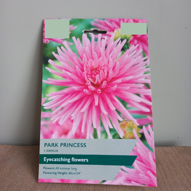 Dahlia - DAHLIA "Park Princess"