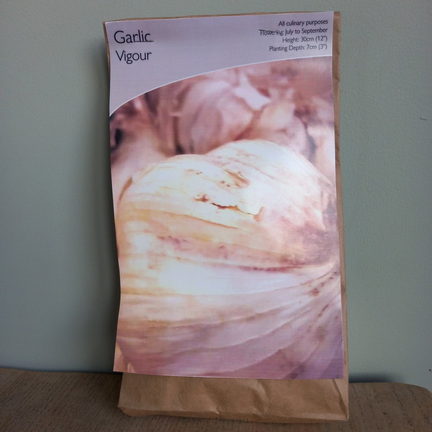 Garlic (Allium sativum) Vigour