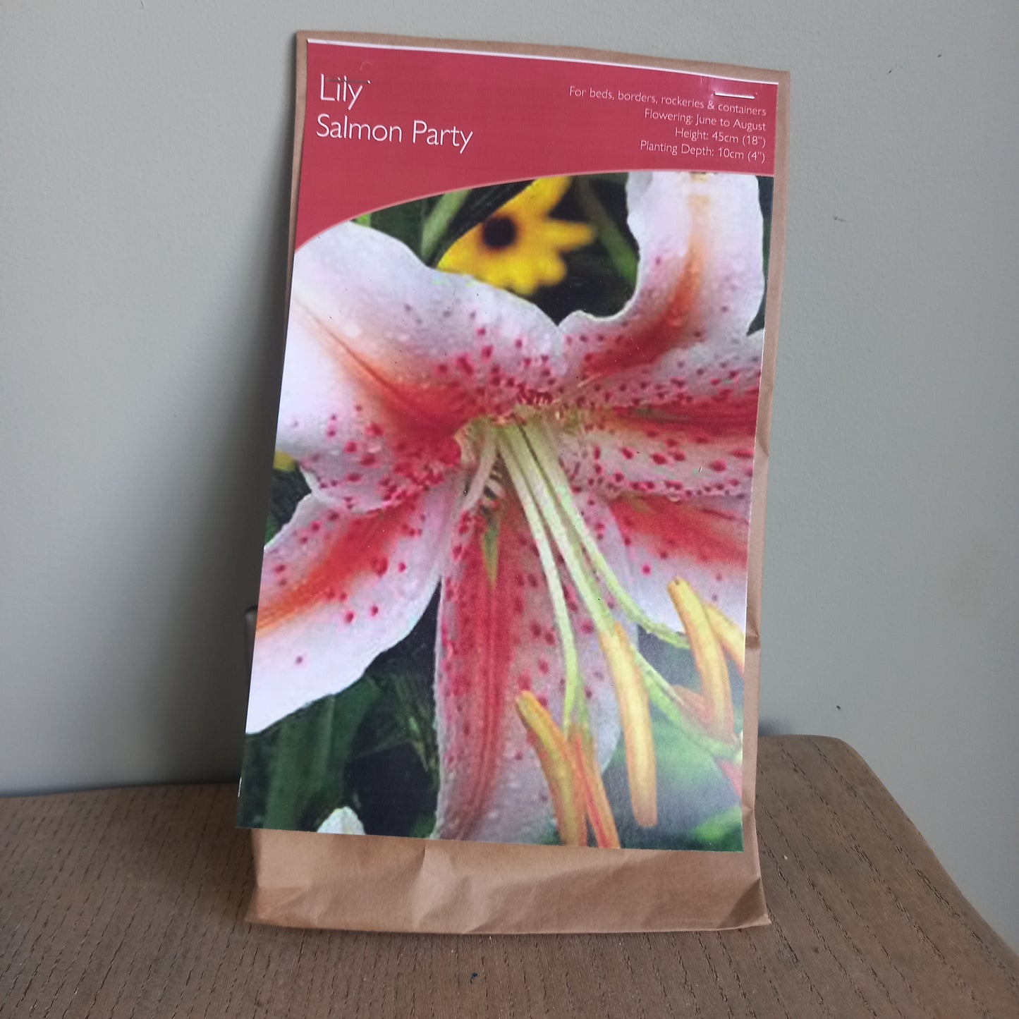 Lily Salmon Party (Oriental Lily) (Lilium orientalis)