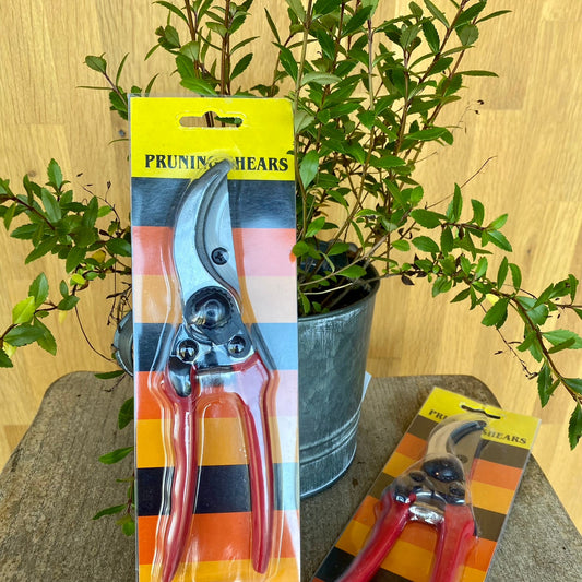 Secateurs (Unbranded)