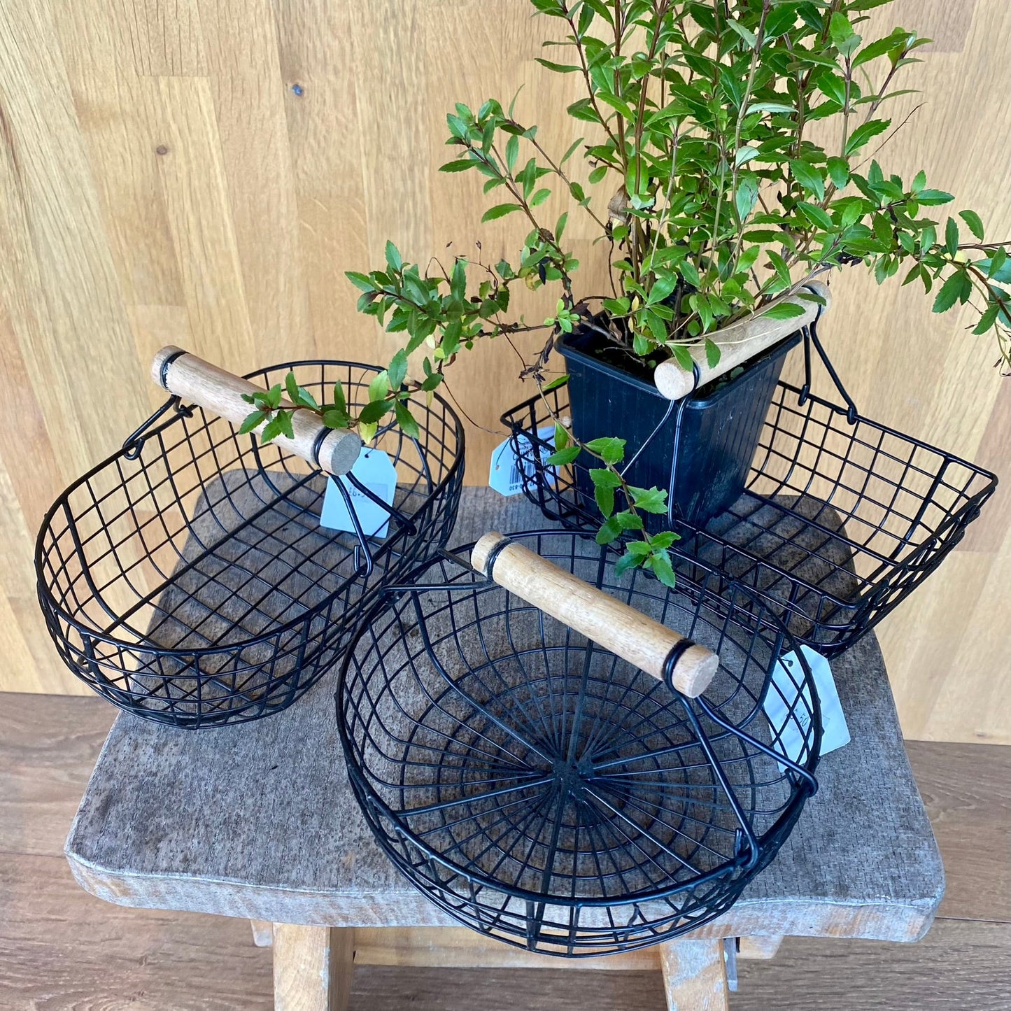 Wire Baskets with Bamboo Handles - Assorted Shapes