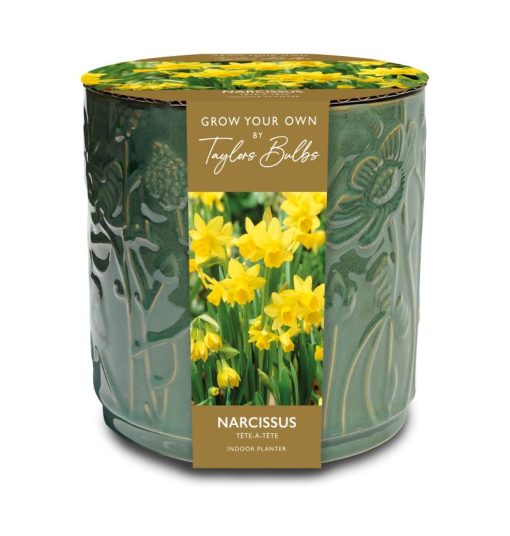 Taylors Embossed Floral Ceramic Planter