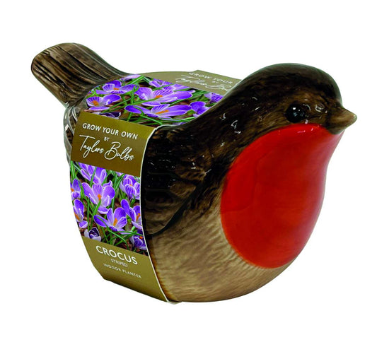 Taylors Robin Planter