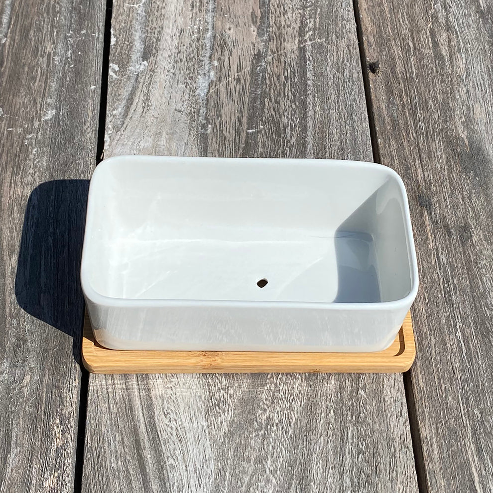 White Succulent and Cactus Ceramic Trough Plant Pot small