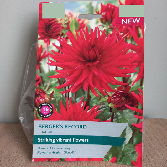 Dahlia - Berger's Record