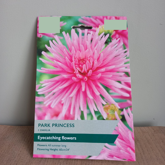 Dahlia - DAHLIA  "Park Princess