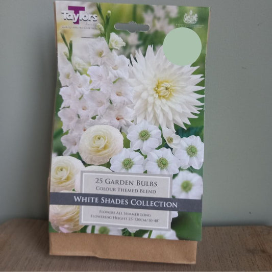 White Shades Bulb Collection