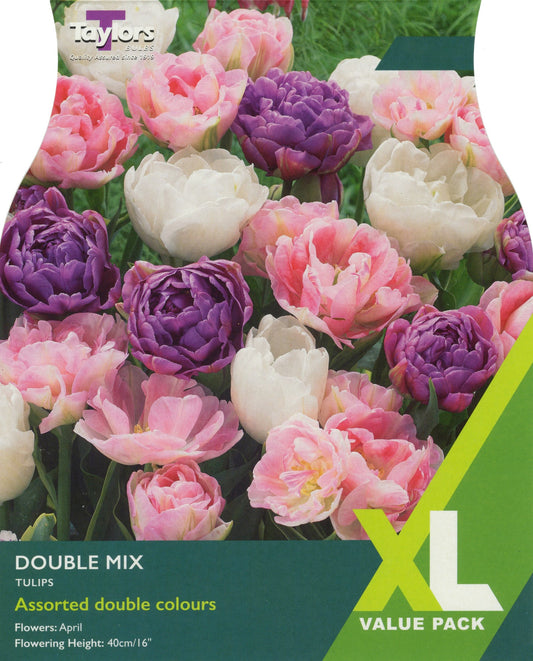 Tulip - Tulip Double Mix Tulip