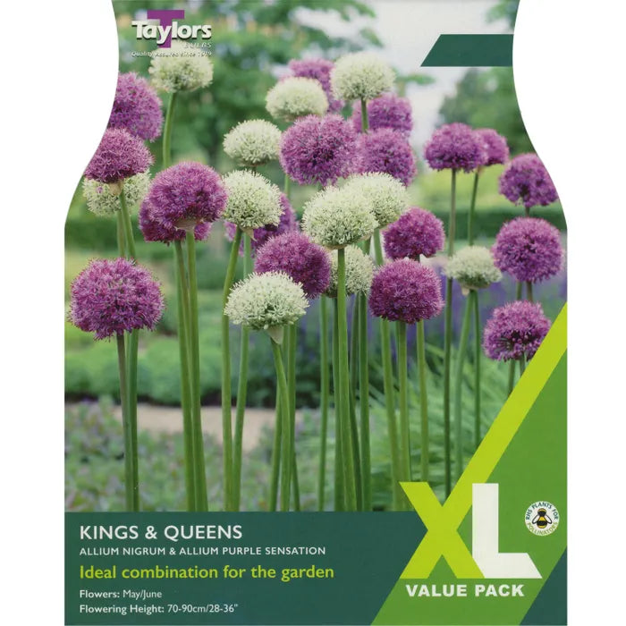 Allium Kings and Queens