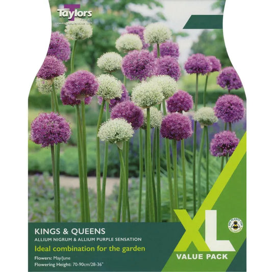 Allium Kings and Queens