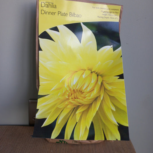 Dahlia Dinner Plate - DAHLIA Bilbao