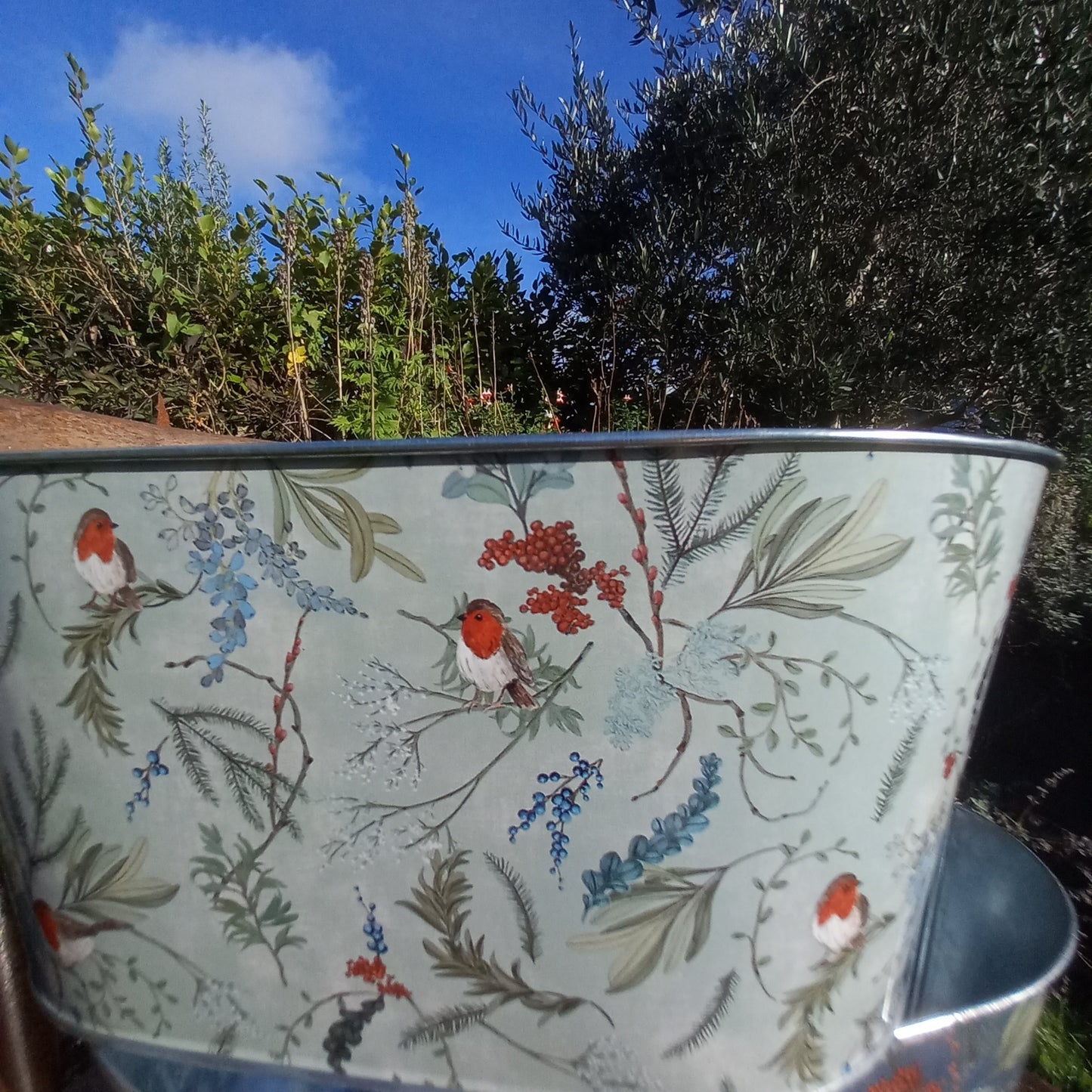 Tin Trough robin design