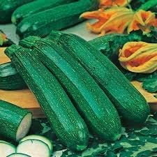 3 x Courgette F1 Plug Plants Yellow