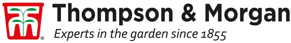Perennial Collection 9cm Garden Plant Hardy Perennial Flowering Garden Plants Easy to Grow Your Own 6X 9cm Potted Plant
