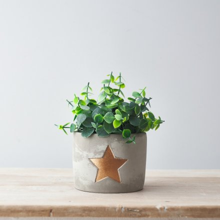 Cement Pot With Gold Star 11cm
