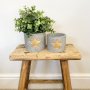 Cement Pot With Gold Star 11cm