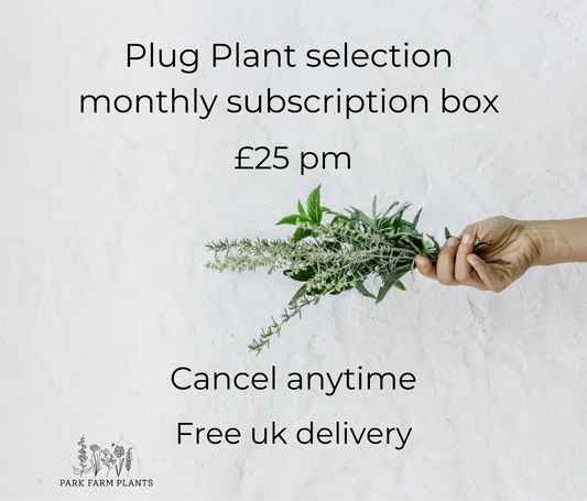 Plug plant selection - monthly subscription box
