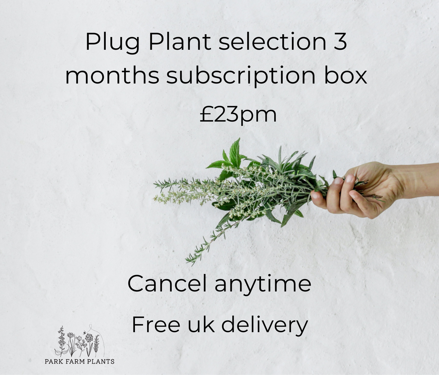 Plug plant selection - 3 months subscription box