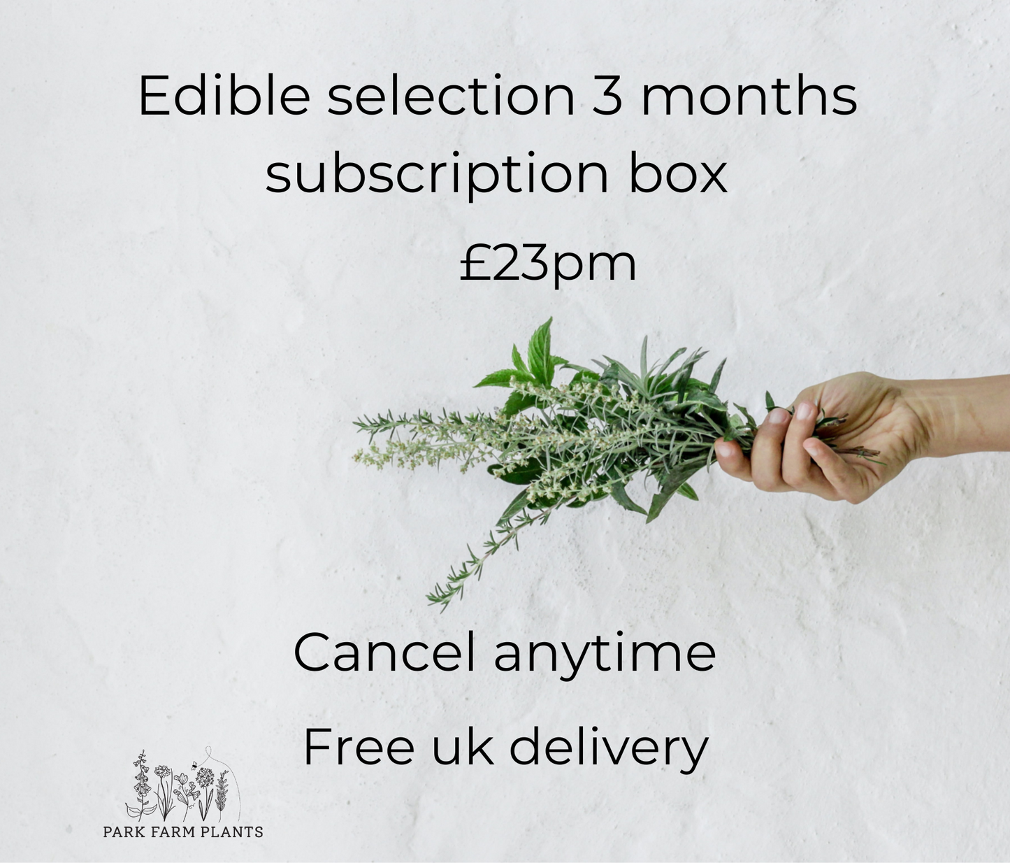 Edible selection 3 months subscription box