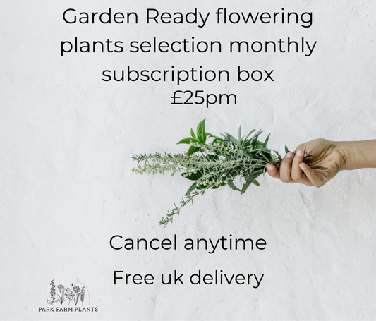Garden Ready Flowering plants monthly subscription box