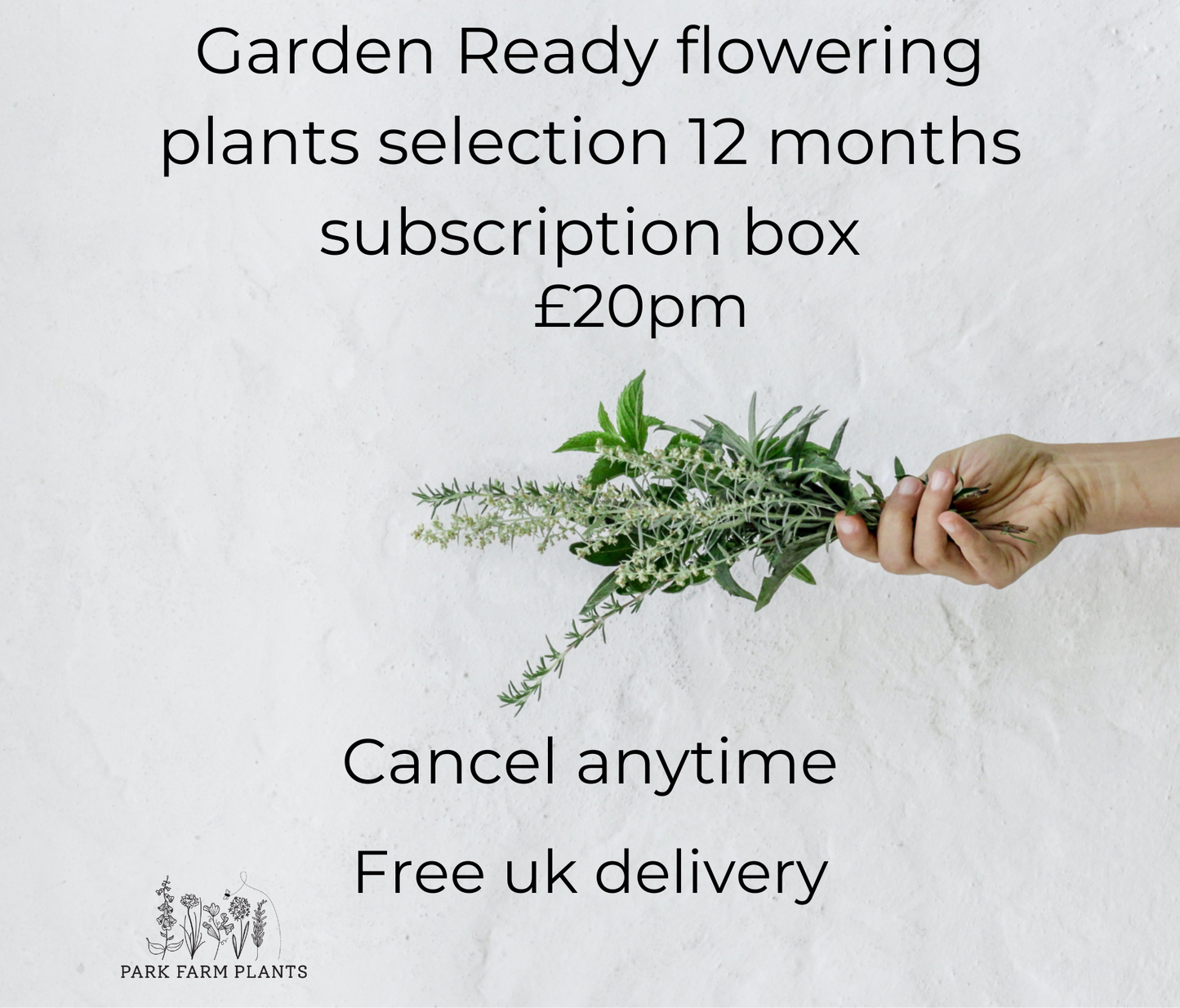 Garden Ready 12 months subscription box