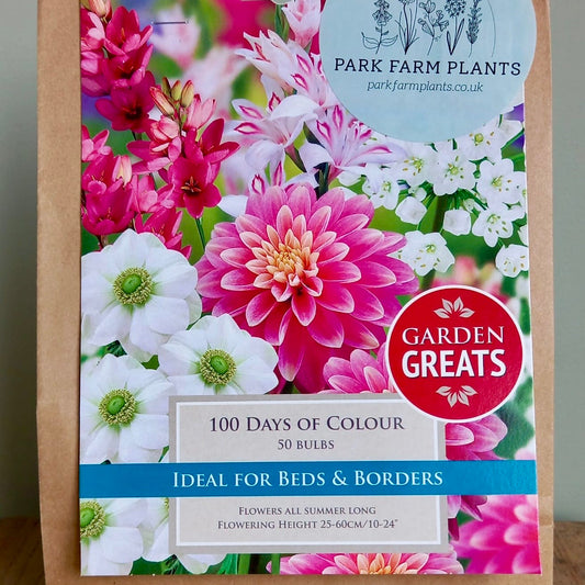 Summer Flowering Bulbs - 100 Days of Colour Bulb Collection