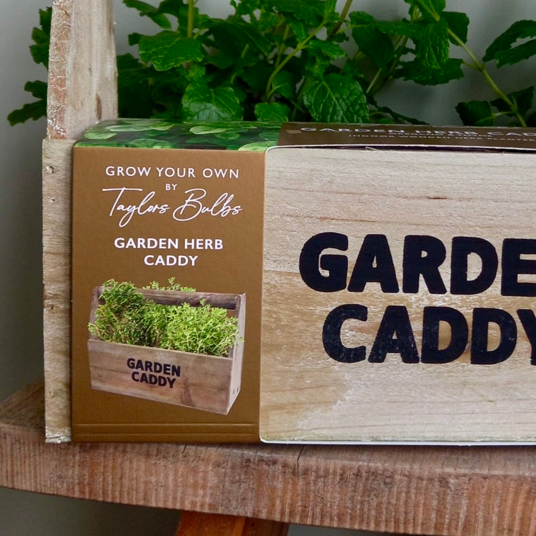 Grow your own herb caddy woodern