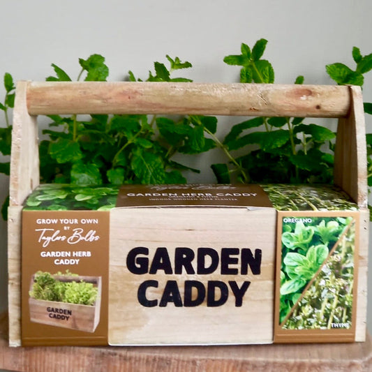 Grow your own herb caddy woodern